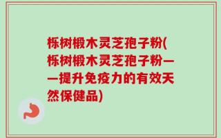 栎树椴木灵芝孢子粉(栎树椴木灵芝孢子粉——提升免疫力的有效天然保健品)