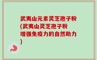 武夷山元素灵芝孢子粉(武夷山灵芝孢子粉 增强免疫力的自然助力)