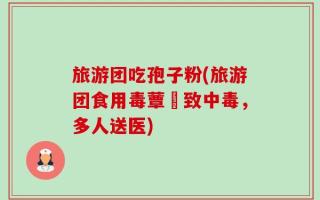 旅游团吃孢子粉(旅游团食用毒蕈導致中毒，多人送医)