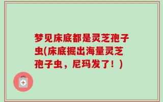 梦见床底都是灵芝孢子虫(床底掘出海量灵芝孢子虫，尼玛发了！)