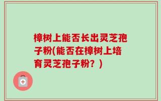 樟树上能否长出灵芝孢子粉(能否在樟树上培育灵芝孢子粉？)