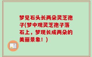 梦见石头长两朵灵芝孢子(梦中观灵芝孢子落石上，梦现长成两朵的美丽景象！)