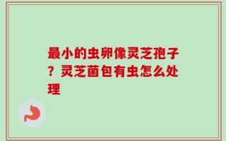 最小的虫卵像灵芝孢子？灵芝菌包有虫怎么处理
