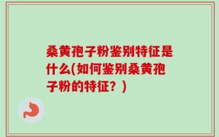 桑黄孢子粉鉴别特征是什么(如何鉴别桑黄孢子粉的特征？)