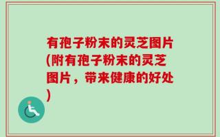 有孢子粉末的灵芝图片(附有孢子粉末的灵芝图片，带来健康的好处)