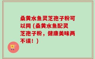 桑黄水鱼灵芝孢子粉可以同 (桑黄水鱼配灵芝孢子粉，健康美味两不误！)