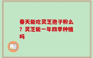 春天能吃灵芝孢子粉么？灵芝能一年四季种植吗