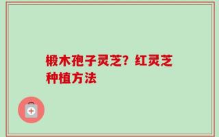椴木孢子灵芝？红灵芝种植方法