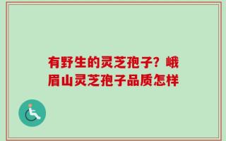 有野生的灵芝孢子？峨眉山灵芝孢子品质怎样