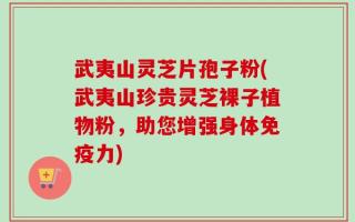 武夷山灵芝片孢子粉(武夷山珍贵灵芝裸子植物粉，助您增强身体免疫力)