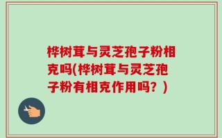 桦树茸与灵芝孢子粉相克吗(桦树茸与灵芝孢子粉有相克作用吗？)