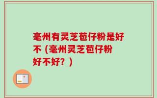 毫州有灵芝苞仔粉是好不 (毫州灵芝苞仔粉好不好？)