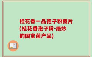 桂花香一品孢子粉图片(桂花香孢子粉-绝妙的国宝菌产品)