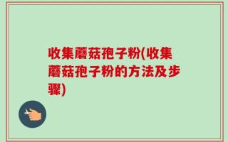 收集蘑菇孢子粉(收集蘑菇孢子粉的方法及步骤)