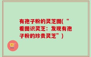 有孢子粉的灵芝图(“看图识灵芝：发现有孢子粉的珍贵灵芝”)