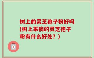 树上的灵芝孢子粉好吗(树上采摘的灵芝孢子粉有什么好处？)