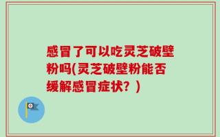 感冒了可以吃灵芝破壁粉吗(灵芝破壁粉能否缓解感冒症状？)