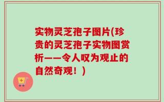 实物灵芝孢子图片(珍贵的灵芝孢子实物图赏析——令人叹为观止的自然奇观！)
