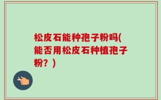 松皮石能种孢子粉吗(能否用松皮石种植孢子粉？)