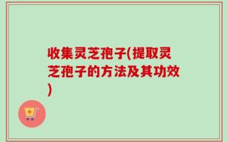 收集灵芝孢子(提取灵芝孢子的方法及其功效)