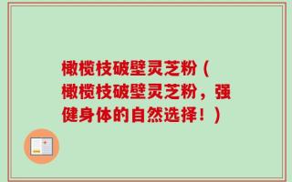橄榄枝破壁灵芝粉 (橄榄枝破壁灵芝粉，强健身体的自然选择！)