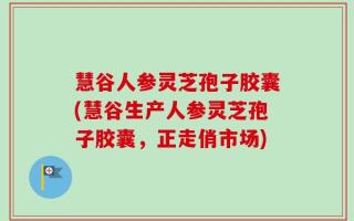 慧谷人参灵芝孢子胶囊(慧谷生产人参灵芝孢子胶囊，正走俏市场)