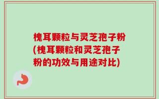 槐耳颗粒与灵芝孢子粉(槐耳颗粒和灵芝孢子粉的功效与用途对比)