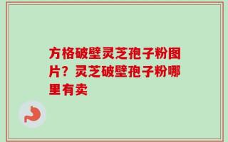 方格破壁灵芝孢子粉图片？灵芝破壁孢子粉哪里有卖
