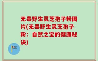 无毒野生灵芝孢子粉图片(无毒野生灵芝孢子粉：自然之宝的健康秘诀)
