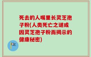 死去的人嘴里长灵芝孢子粉(人类死亡之谜或因灵芝孢子粉而揭示的健康秘密)