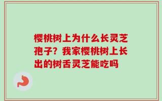 樱桃树上为什么长灵芝孢子？我家樱桃树上长出的树舌灵芝能吃吗