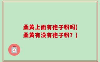 桑黄上面有孢子粉吗(桑黄有没有孢子粉？)