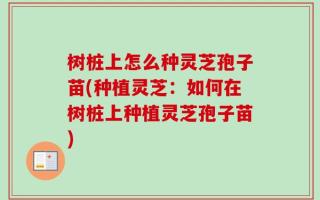 树桩上怎么种灵芝孢子苗(种植灵芝：如何在树桩上种植灵芝孢子苗)