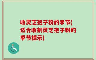 收灵芝孢子粉的季节(适合收割灵芝孢子粉的季节提示)