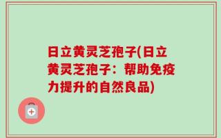 日立黄灵芝孢子(日立黄灵芝孢子：帮助免疫力提升的自然良品)