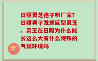 日照灵芝孢子粉厂家？日照男子发现巨型灵芝。灵芝在日照为什么能长这么大有什么特殊的气候环境吗
