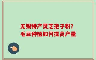 无锡特产灵芝孢子粉？毛豆种植如何提高产量