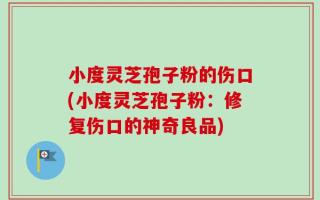 小度灵芝孢子粉的伤口(小度灵芝孢子粉：修复伤口的神奇良品)