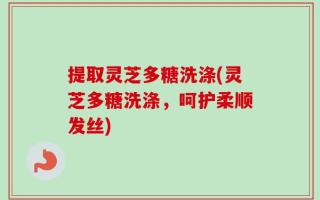 提取灵芝多糖洗涤(灵芝多糖洗涤，呵护柔顺发丝)