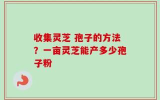 收集灵芝 孢子的方法？一亩灵芝能产多少孢子粉