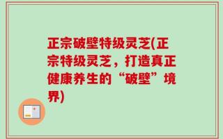 正宗破壁特级灵芝(正宗特级灵芝，打造真正健康养生的“破壁”境界)