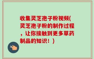 收集灵芝孢子粉视频(灵芝孢子粉的制作过程，让你接触到更多草药制品的知识！)