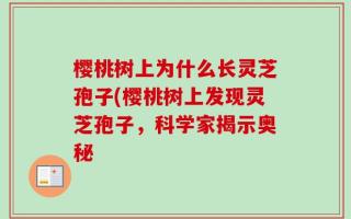 樱桃树上为什么长灵芝孢子(樱桃树上发现灵芝孢子，科学家揭示奥秘