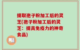 提取孢子粉加工后的灵芝(孢子粉加工后的灵芝：提高免疫力的神奇食品)