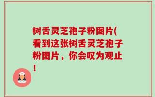 树舌灵芝孢子粉图片(看到这张树舌灵芝孢子粉图片，你会叹为观止！