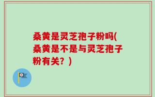 桑黄是灵芝孢子粉吗(桑黄是不是与灵芝孢子粉有关？)