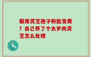 服用灵芝孢子粉脸发黄？自己养了个太岁肉灵芝怎么处理