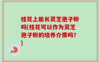 桂花上能长灵芝孢子粉吗(桂花可以作为灵芝孢子粉的培养介质吗？)
