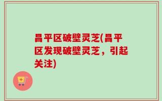 昌平区破壁灵芝(昌平区发现破壁灵芝，引起关注)
