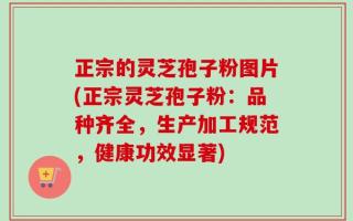 正宗的灵芝孢子粉图片(正宗灵芝孢子粉：品种齐全，生产加工规范，健康功效显著)